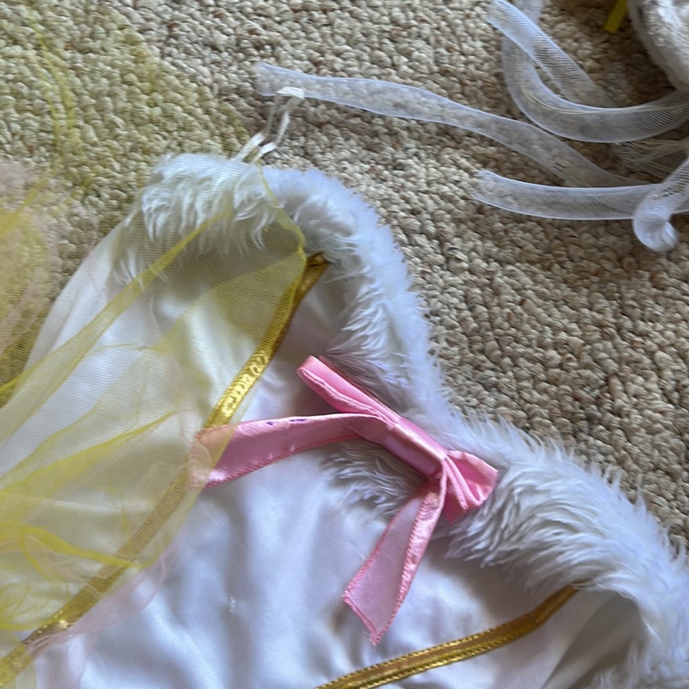 Costume - Picture 3 of 7